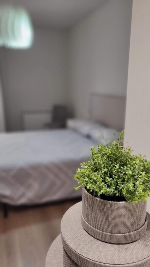 Apartamento Palacio De Los Toledo Corella Εξωτερικό φωτογραφία